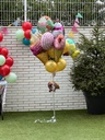 Ramillete globos helados